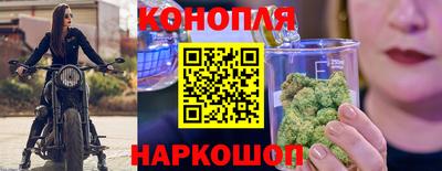 индика Краснознаменск