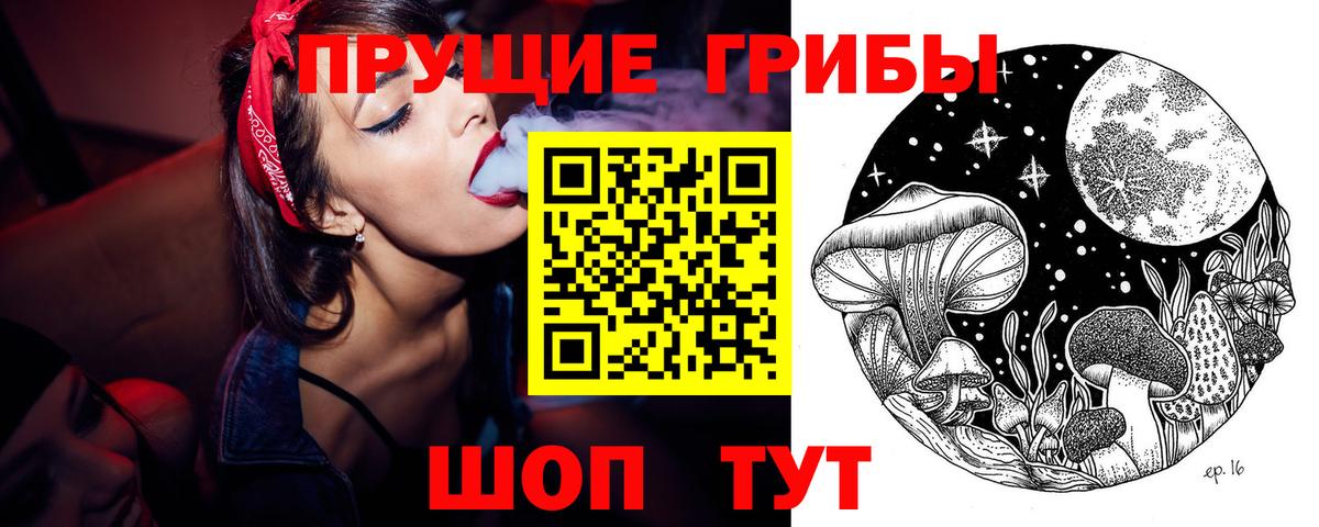 Псилоцибиновые грибы Cubensis  Вход с VPN  Холмск 